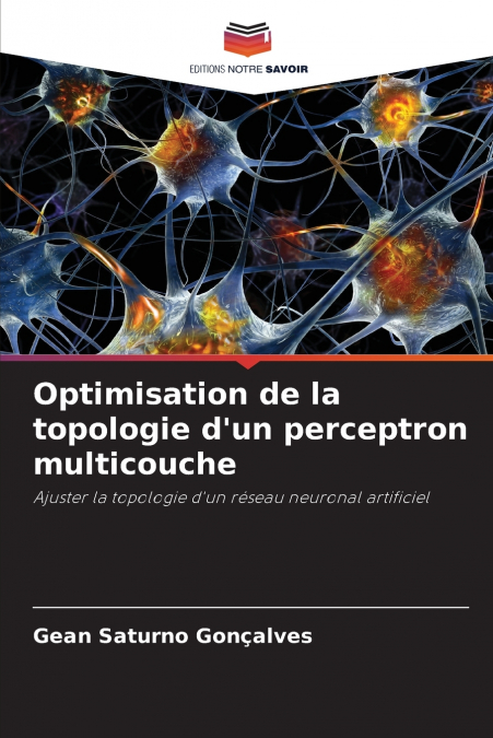 Optimisation de la topologie d’un perceptron multicouche