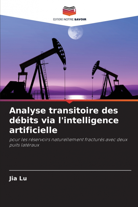 Analyse transitoire des débits via l’intelligence artificielle