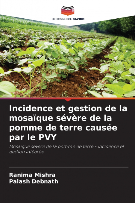 Incidence et gestion de la mosaïque sévère de la pomme de terre causée par le PVY