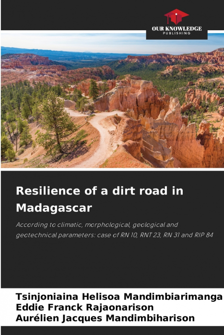 Resilience of a dirt road in Madagascar