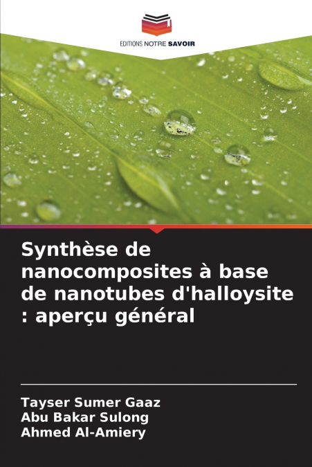 Synthèse de nanocomposites à base de nanotubes d’halloysite