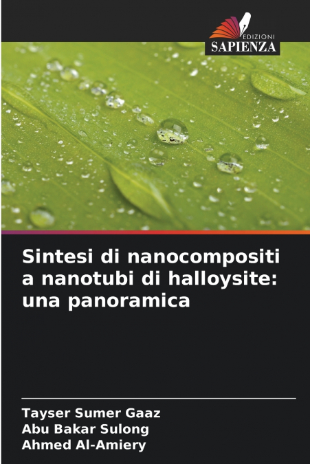Sintesi di nanocompositi a nanotubi di halloysite