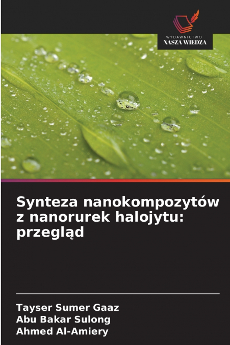 Synteza nanokompozytów z nanorurek halojytu