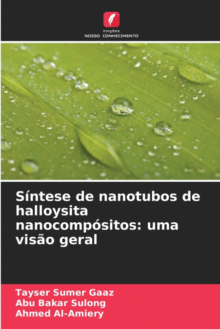 Síntese de nanotubos de halloysita nanocompósitos