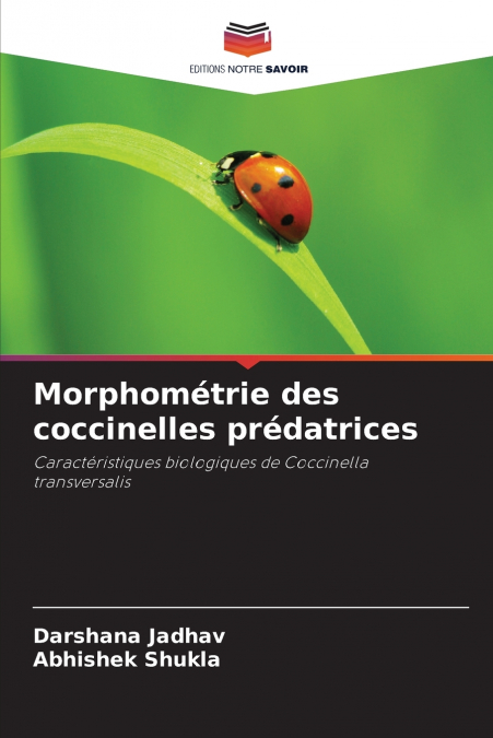 Morphométrie des coccinelles prédatrices