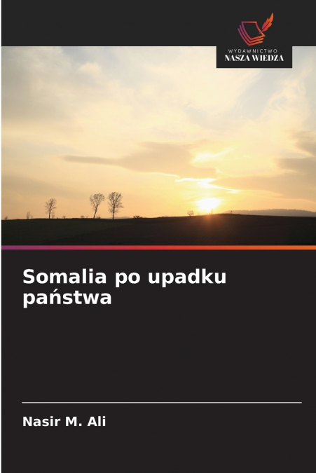 Somalia po upadku państwa