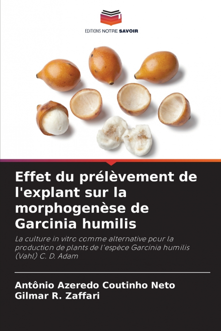 Effet du prélèvement de l’explant sur la morphogenèse de Garcinia humilis