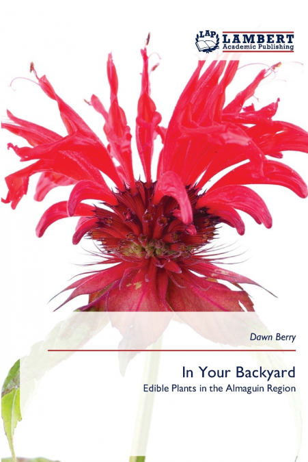 In Your Backyard