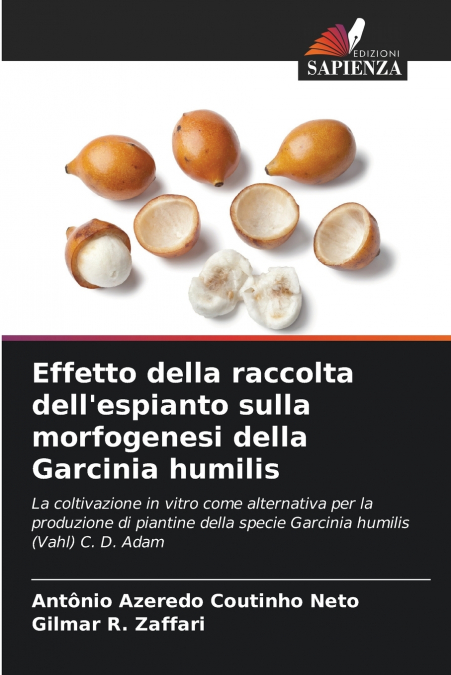 Effetto della raccolta dell’espianto sulla morfogenesi della Garcinia humilis