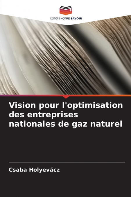 Vision pour l’optimisation des entreprises nationales de gaz naturel