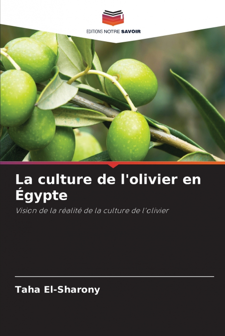 La culture de l’olivier en Égypte