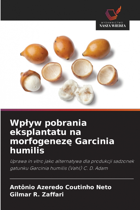 Wpływ pobrania eksplantatu na morfogenezę Garcinia humilis