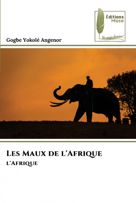 Les Maux de l’Afrique