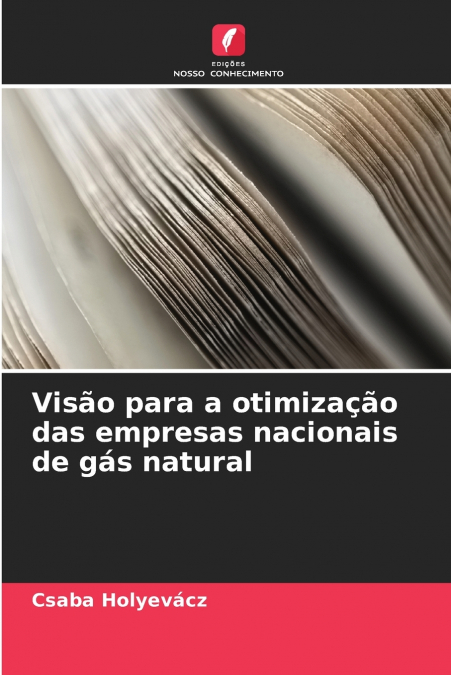Visão para a otimização das empresas nacionais de gás natural