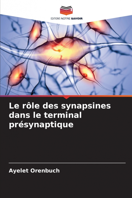 Le rôle des synapsines dans le terminal présynaptique