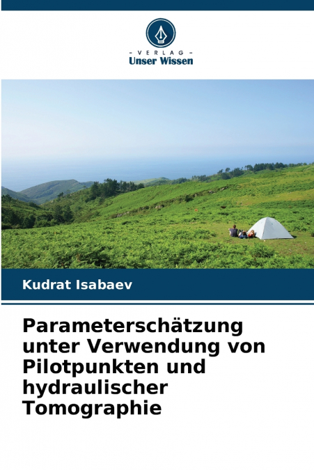 Parameterschätzung unter Verwendung von Pilotpunkten und hydraulischer Tomographie