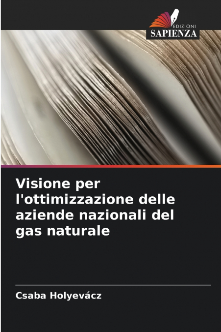 Visione per l’ottimizzazione delle aziende nazionali del gas naturale