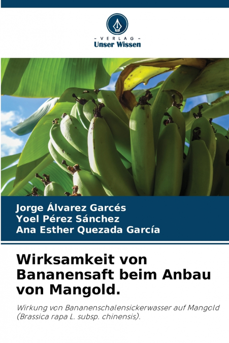Wirksamkeit von Bananensaft beim Anbau von Mangold.