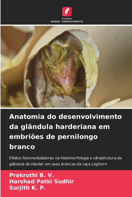 Anatomia do desenvolvimento da glândula harderiana em embriões de pernilongo branco