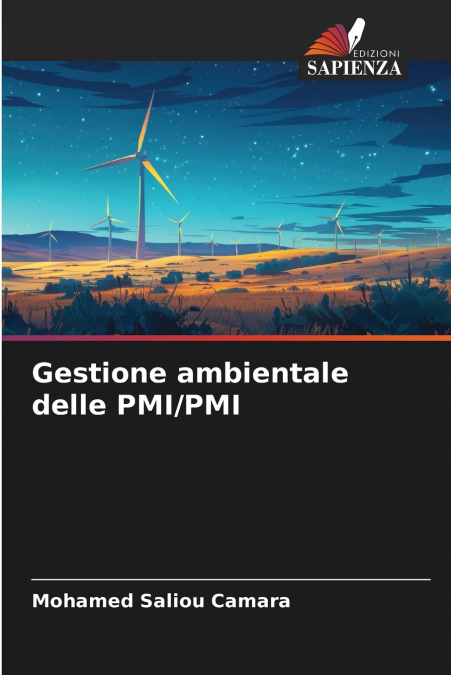 Gestione ambientale delle PMI/PMI