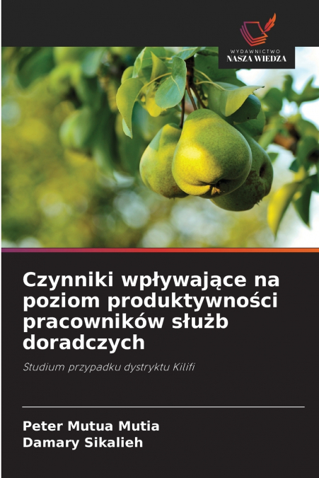 Czynniki wpływające na poziom produktywności pracowników służb doradczych