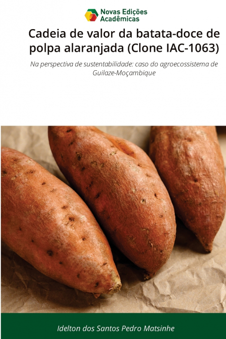 Cadeia de valor da batata-doce de polpa alaranjada (Clone IAC-1063)