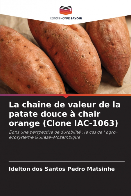 La chaîne de valeur de la patate douce à chair orange (Clone IAC-1063)