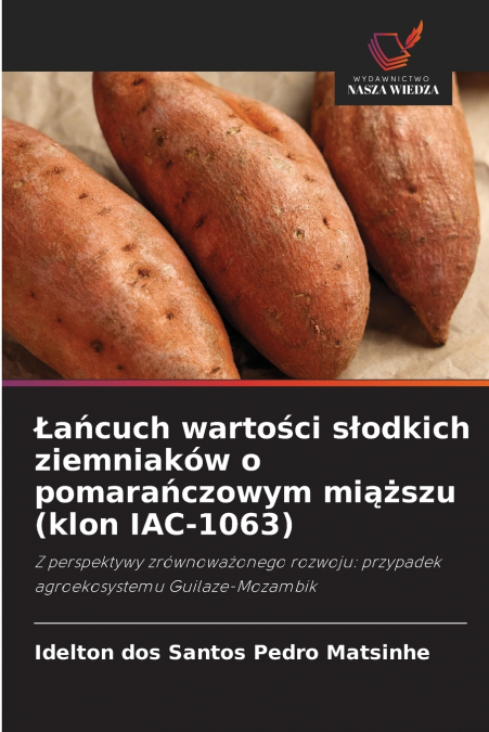 Łańcuch wartości słodkich ziemniaków o pomarańczowym miąższu (klon IAC-1063)
