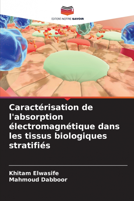 Caractérisation de l’absorption électromagnétique dans les tissus biologiques stratifiés