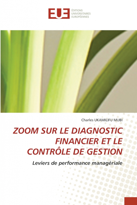 ZOOM SUR LE DIAGNOSTIC FINANCIER ET LE CONTRÔLE DE GESTION