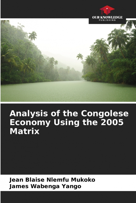 Analysis of the Congolese Economy Using the 2005 Matrix