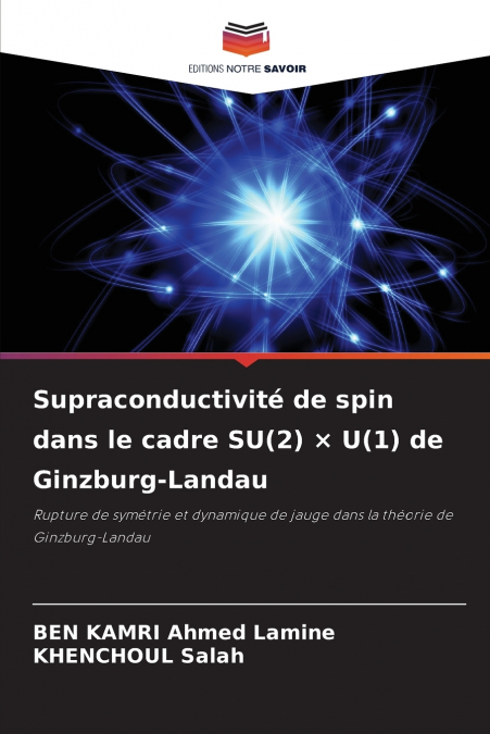 Supraconductivité de spin dans le cadre SU(2) × U(1) de Ginzburg-Landau
