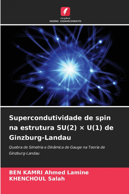 Supercondutividade de spin na estrutura SU(2) × U(1) de Ginzburg-Landau