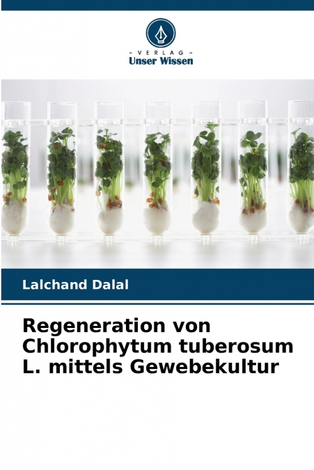 Regeneration von Chlorophytum tuberosum L. mittels Gewebekultur