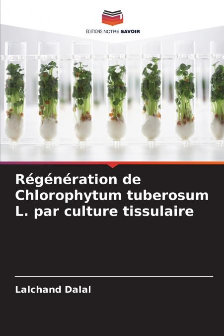 Régénération de Chlorophytum tuberosum L. par culture tissulaire