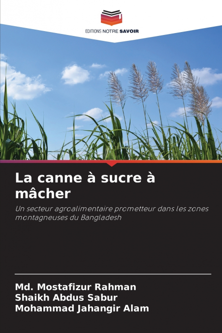 La canne à sucre à mâcher