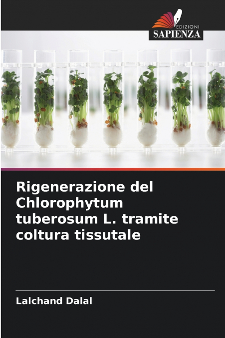 Rigenerazione del Chlorophytum tuberosum L. tramite coltura tissutale