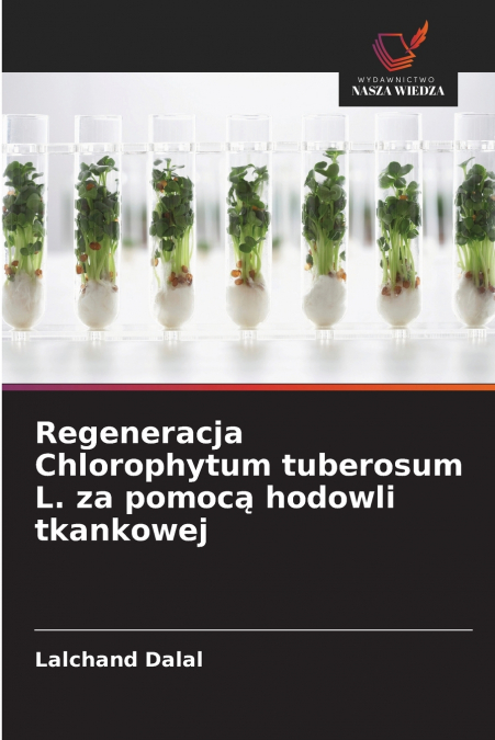 Regeneracja Chlorophytum tuberosum L. za pomocą hodowli tkankowej