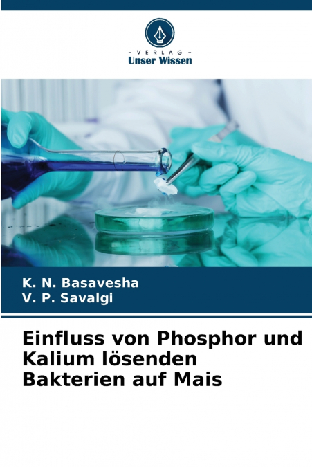 Einfluss von Phosphor und Kalium lösenden Bakterien auf Mais