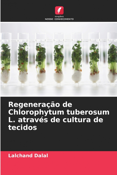 Regeneração de Chlorophytum tuberosum L. através de cultura de tecidos