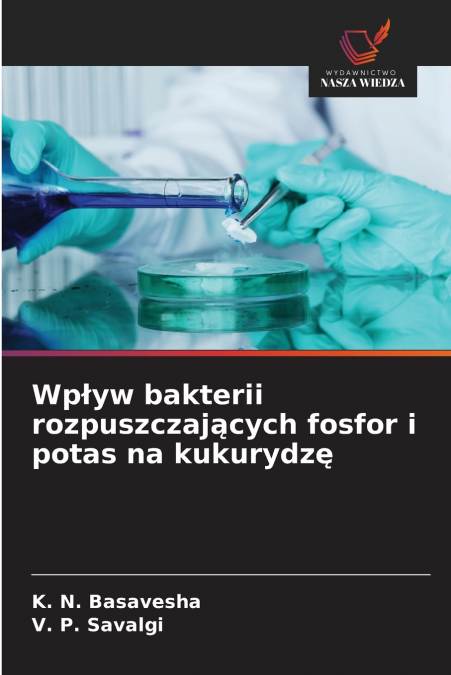 Wpływ bakterii rozpuszczających fosfor i potas na kukurydzę