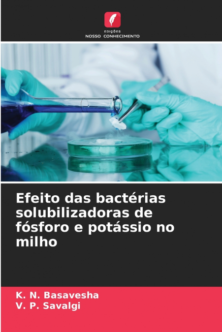 Efeito das bactérias solubilizadoras de fósforo e potássio no milho
