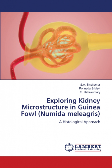 Exploring Kidney Microstructure in Guinea Fowl (Numida meleagris)