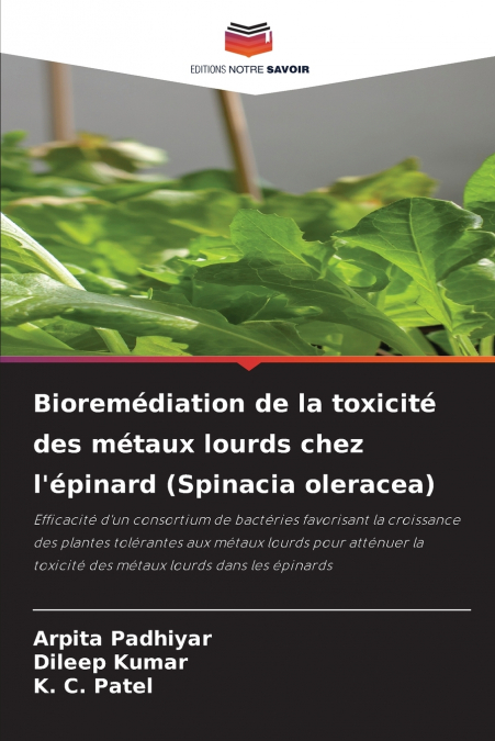 Bioremédiation de la toxicité des métaux lourds chez l’épinard (Spinacia oleracea)