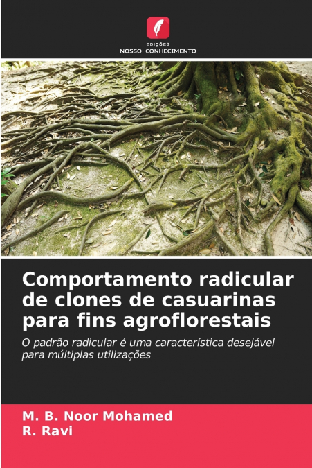 Comportamento radicular de clones de casuarinas para fins agroflorestais