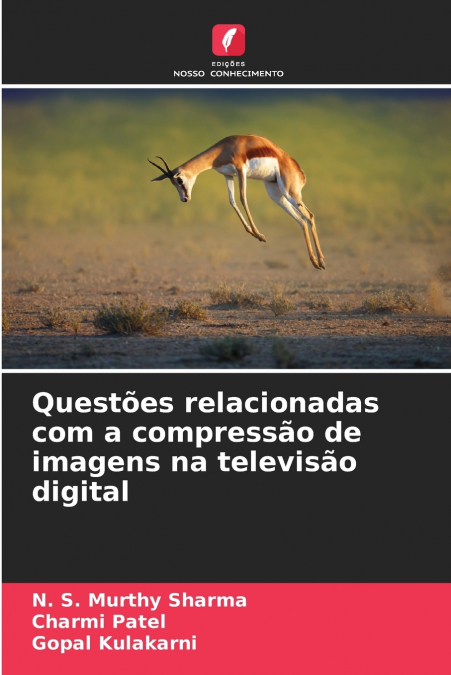 Questões relacionadas com a compressão de imagens na televisão digital