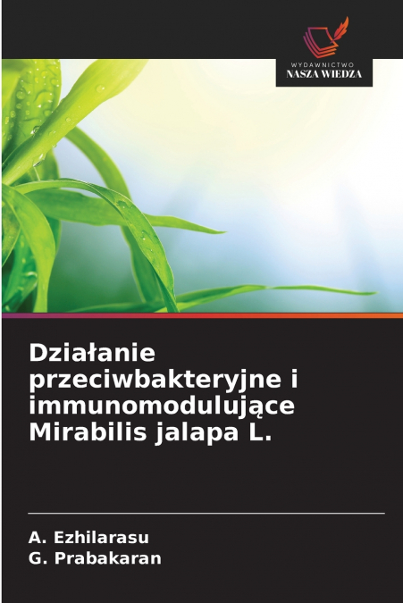 Działanie przeciwbakteryjne i immunomodulujące Mirabilis jalapa L.