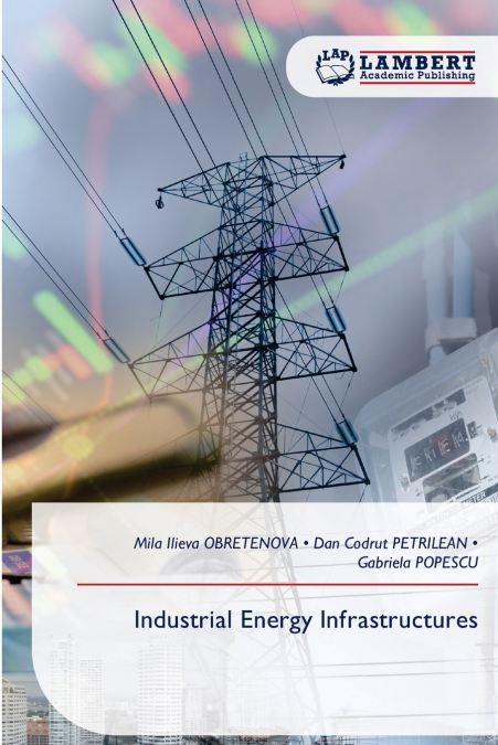 Industrial Energy Infrastructures