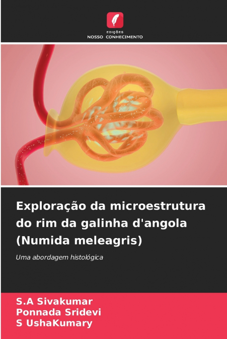 Exploração da microestrutura do rim da galinha d’angola (Numida meleagris)