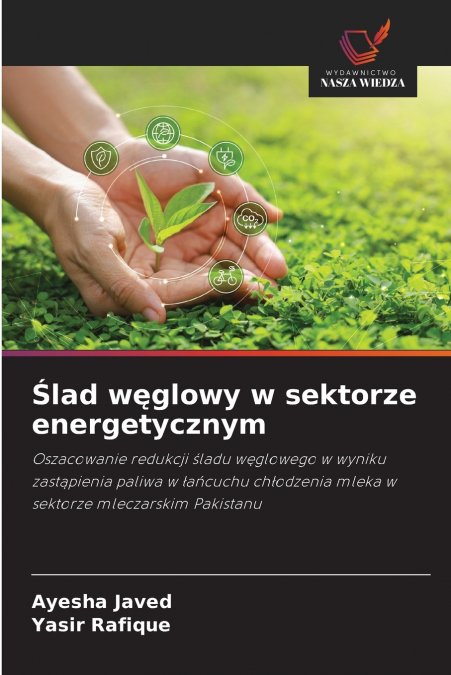 Ślad węglowy w sektorze energetycznym